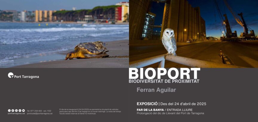 BioPort – Ferran Aguilar